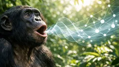 Bonobos kombinieren Rufe wie Wörter: Studie zeigt überraschende Bausteine der Sprache
